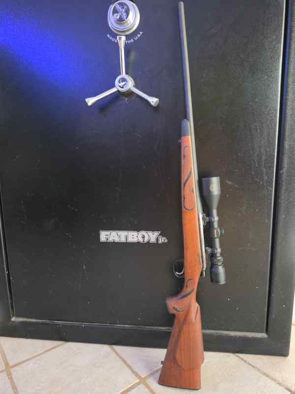Remington 700 308