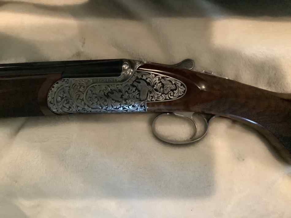 Rizinni royal regal