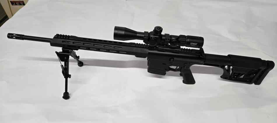 AR 10 .308